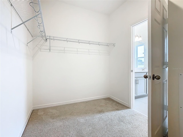 walk in closet with light colored carpet