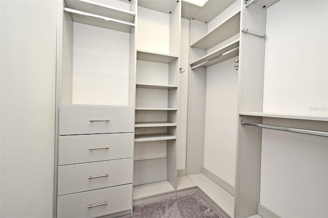 8766 The Esplanade Unit 23, Orlando, FL 32836 - view of walk in closet
