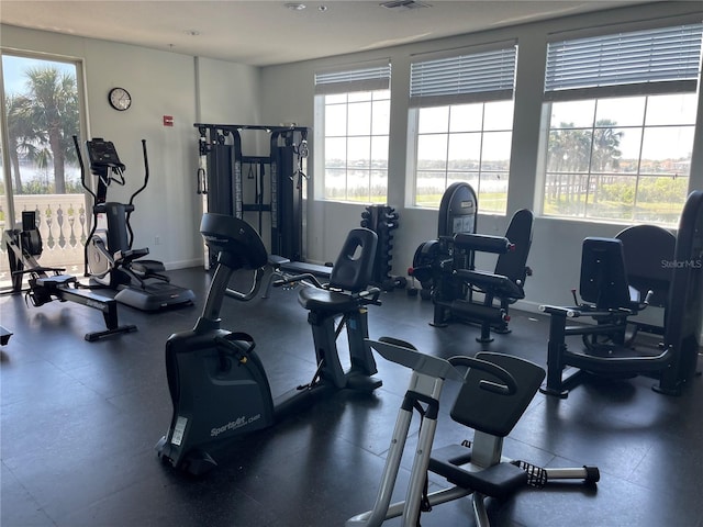 8766 The Esplanade Unit 23, Orlando, FL 32836 - gym with plenty of natural light, baseboards, and visible vents