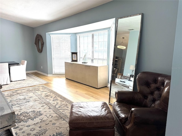 living room featuring light hardwood / wood-style flooring