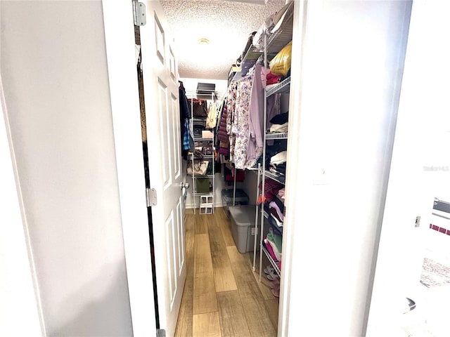 spacious closet featuring hardwood / wood-style floors