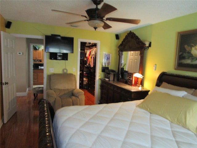 bedroom with wood-type flooring, a walk in closet, ceiling fan, and a closet