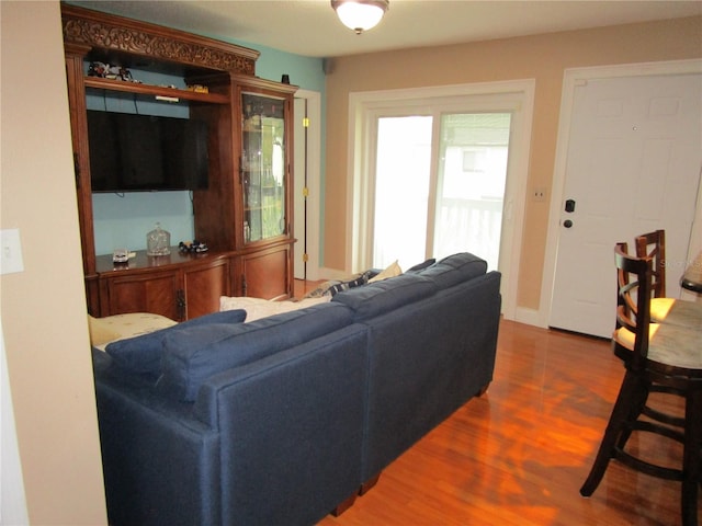 living room featuring dark hardwood / wood-style floors