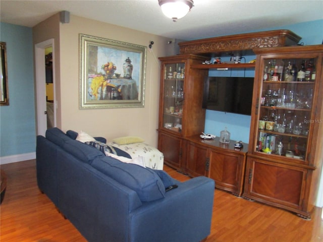 living room with hardwood / wood-style floors