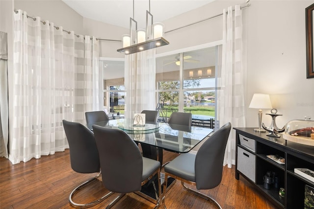 dining room featuring ceiling fan with notable chandelier and dark hardwood / wood-style floors