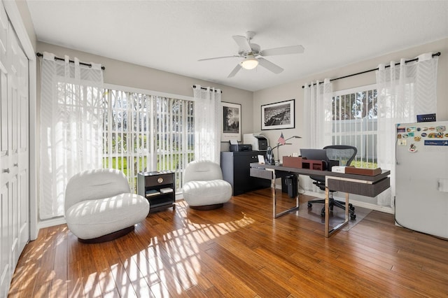 office area featuring ceiling fan and wood-type flooring