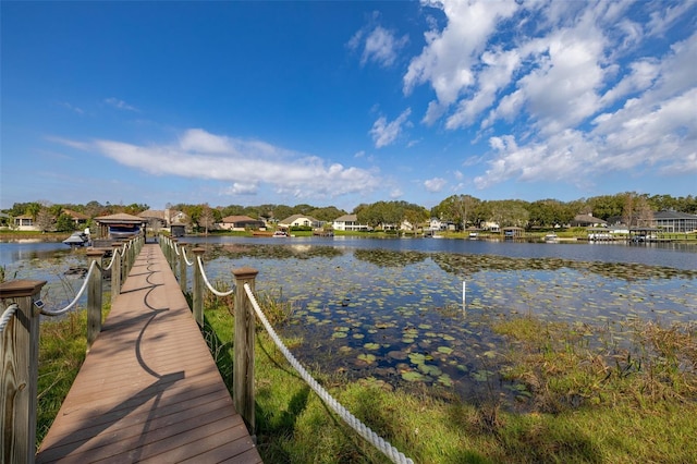 dock area with a water view