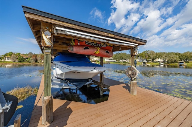 dock area with a water view