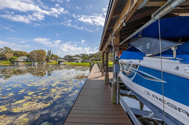 dock area with a water view