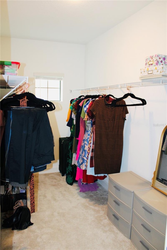 452 Diamond Dove Cv, Winter Springs, FL 32708 - spacious closet with light colored carpet