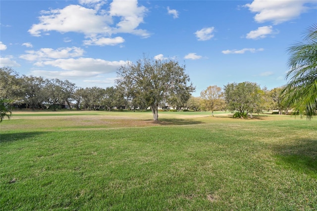 view of community with a lawn