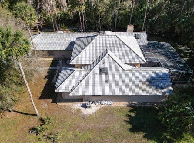 bird's eye view