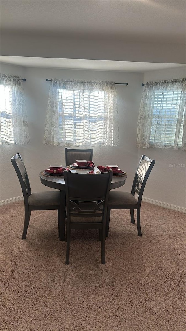 dining area with carpet floors