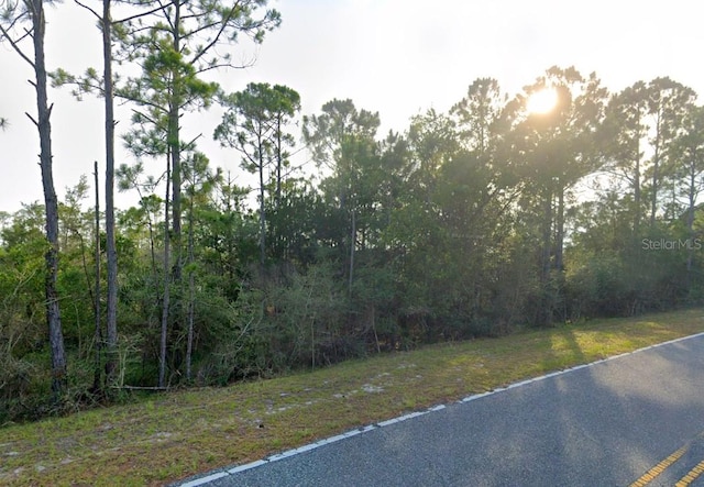 337 Levy Bay Rd, Panacea FL, 32346 land for sale