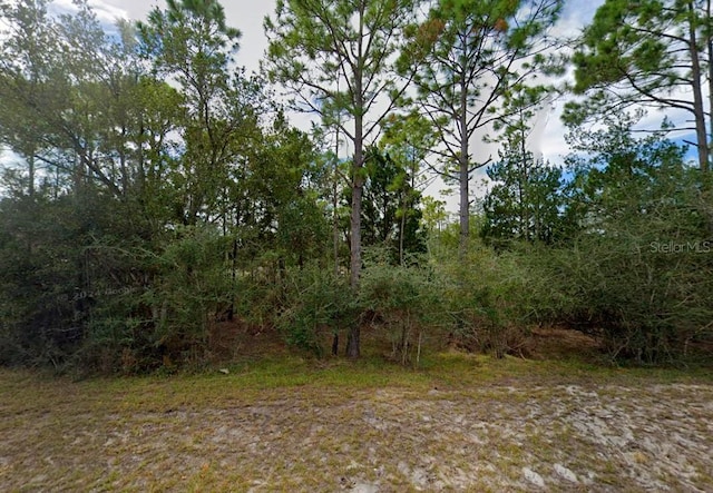 Listing photo 2 for 337 Levy Bay Rd, Panacea FL 32346