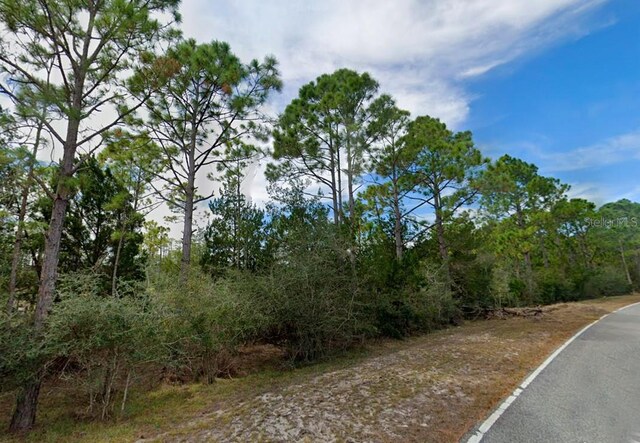 337 Levy Bay Rd, Panacea, FL 32346 - photo 4