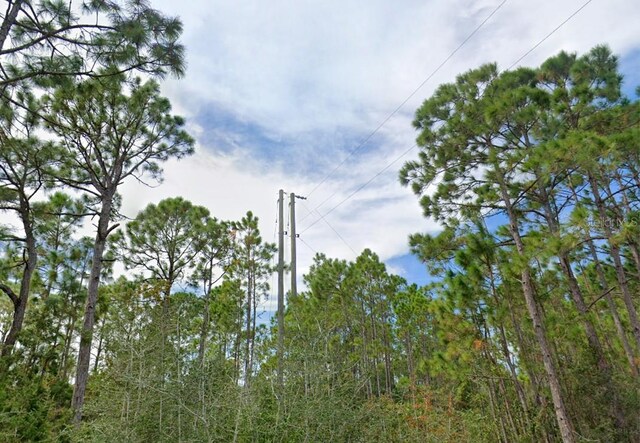 337 Levy Bay Rd, Panacea, FL 32346 - photo 5