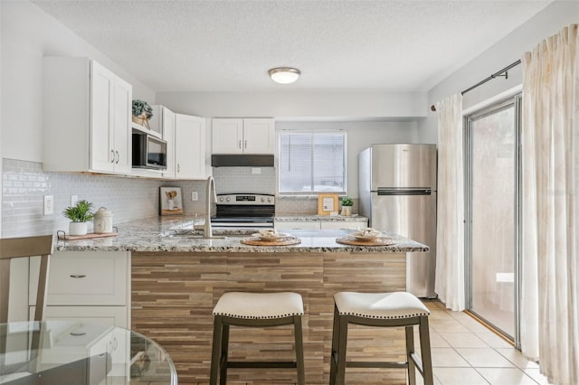 kitchen featuring under cabinet range hood, a wealth of natural light, a peninsula, and appliances with stainless steel finishes