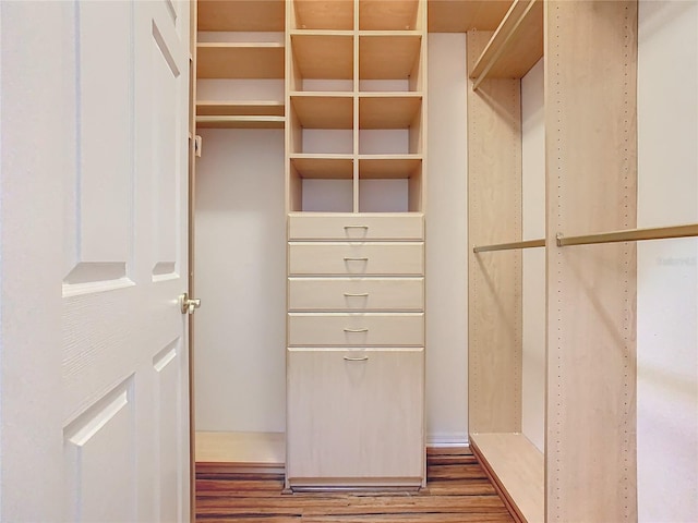 walk in closet featuring dark wood finished floors