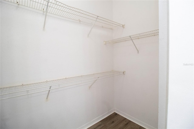 walk in closet featuring dark wood-type flooring