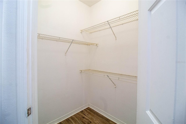 walk in closet with wood finished floors