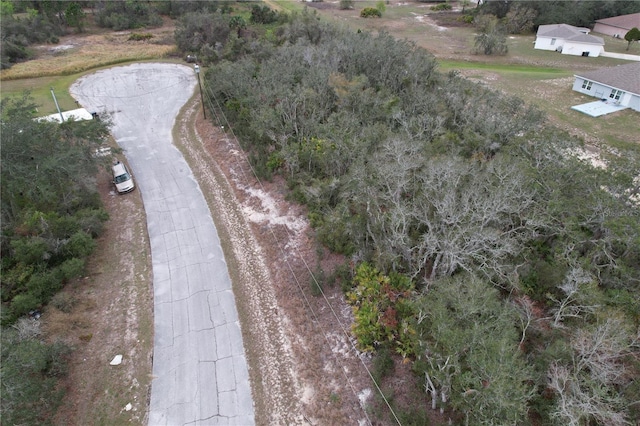 509 Sarasota Ln, Kissimmee, FL 34759