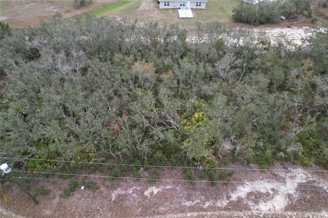 509 Sarasota Ln, Kissimmee, FL 34759