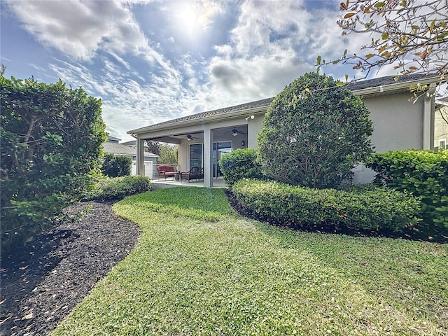 view of yard with a patio area and ceiling fan