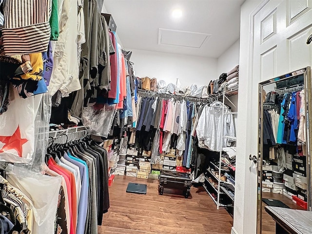 walk in closet featuring attic access and wood finished floors