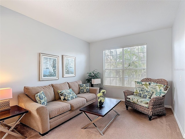131 Stella Pass, Davenport, FL 33837 - living area with carpet floors and baseboards