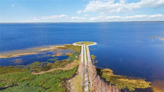 drone / aerial view with a water view