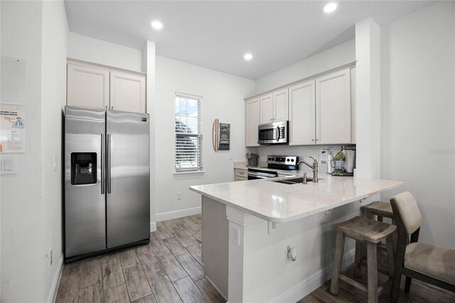 8012 Lost Shaker Ln, Kissimmee, FL 34747 - kitchen with a sink, a kitchen breakfast bar, stainless steel appliances, light wood-style floors, and a peninsula