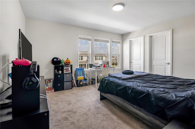 bedroom featuring carpet