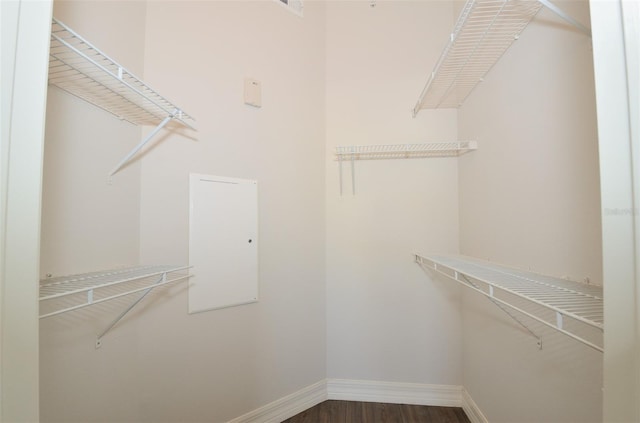 spacious closet featuring wood finished floors