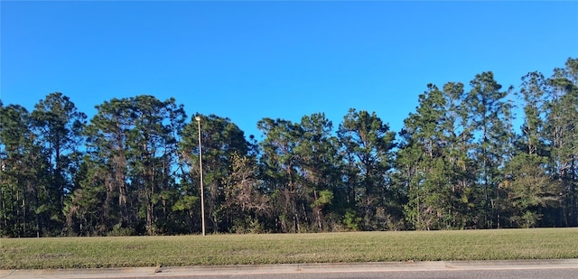 International Dr S, Orlando FL, 32821 land for sale