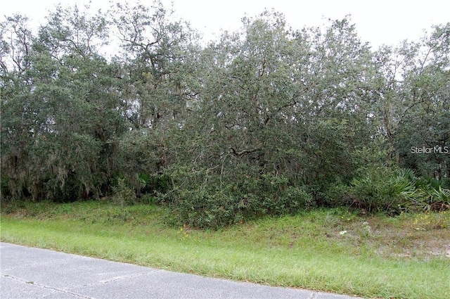 549 St Johns Ct, Kissimmee FL, 34759 land for sale