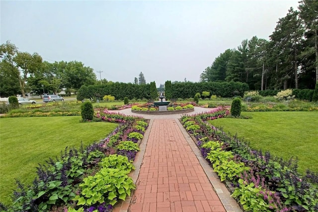 view of community with a yard