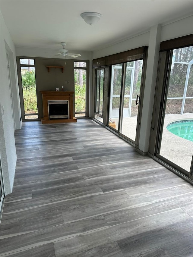 unfurnished living room with a fireplace with raised hearth, ceiling fan, and wood finished floors