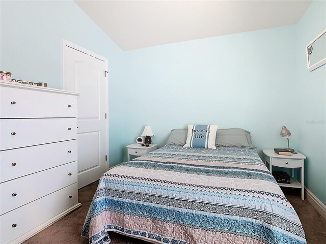 649 Meadow Pointe Dr, Haines City, FL 33844 - bedroom with dark carpet and vaulted ceiling