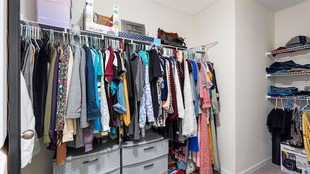 view of spacious closet