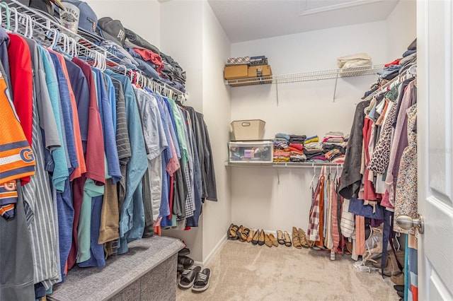 spacious closet featuring carpet flooring