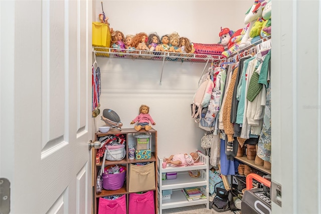 view of spacious closet