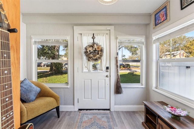 doorway featuring a healthy amount of sunlight, baseboards, and wood finished floors