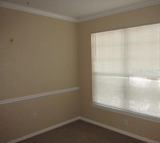 carpeted spare room featuring ornamental molding, a wealth of natural light, and baseboards