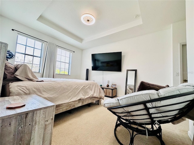 carpeted bedroom featuring a raised ceiling