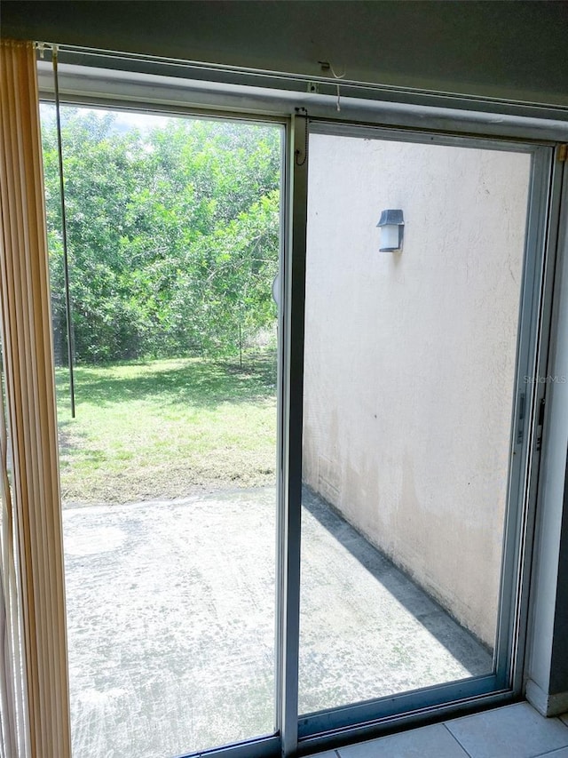 entryway featuring a wealth of natural light