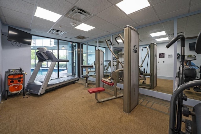 exercise room featuring carpet, a drop ceiling, visible vents, and expansive windows