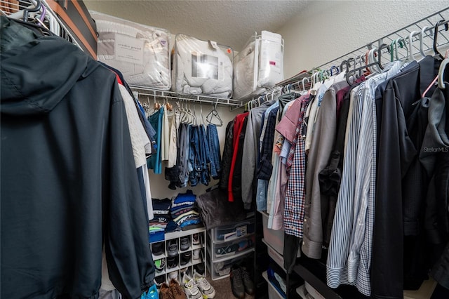 view of spacious closet