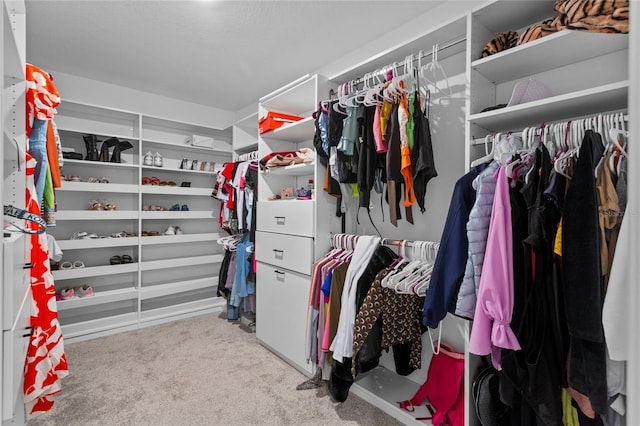 walk in closet with carpet flooring