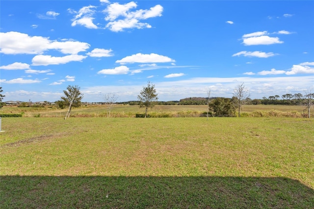 view of yard featuring a rural view